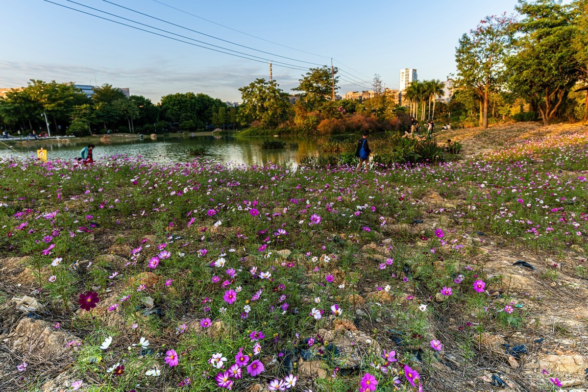 初试新机，浅斟低唱。