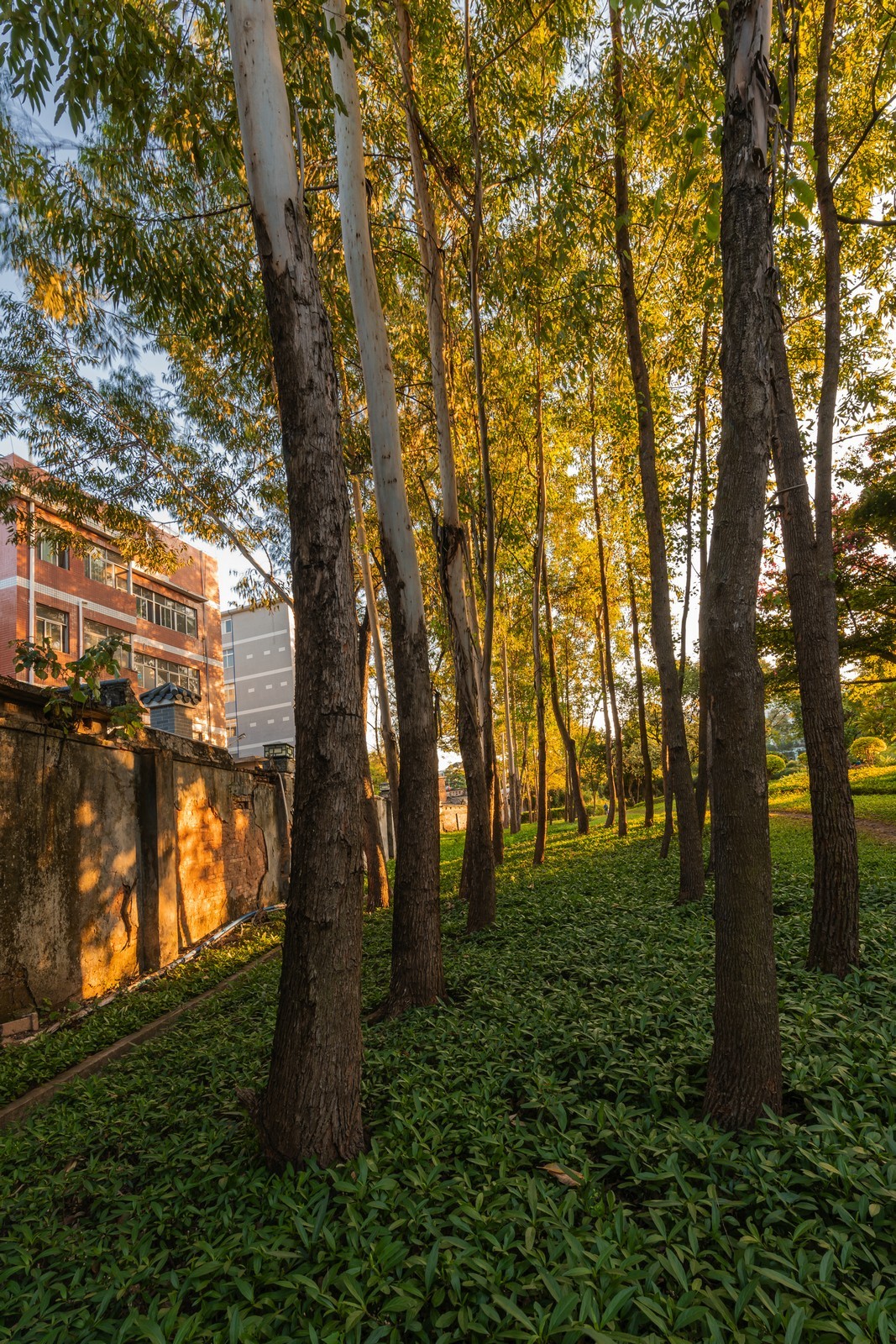 初试新机，浅斟低唱。