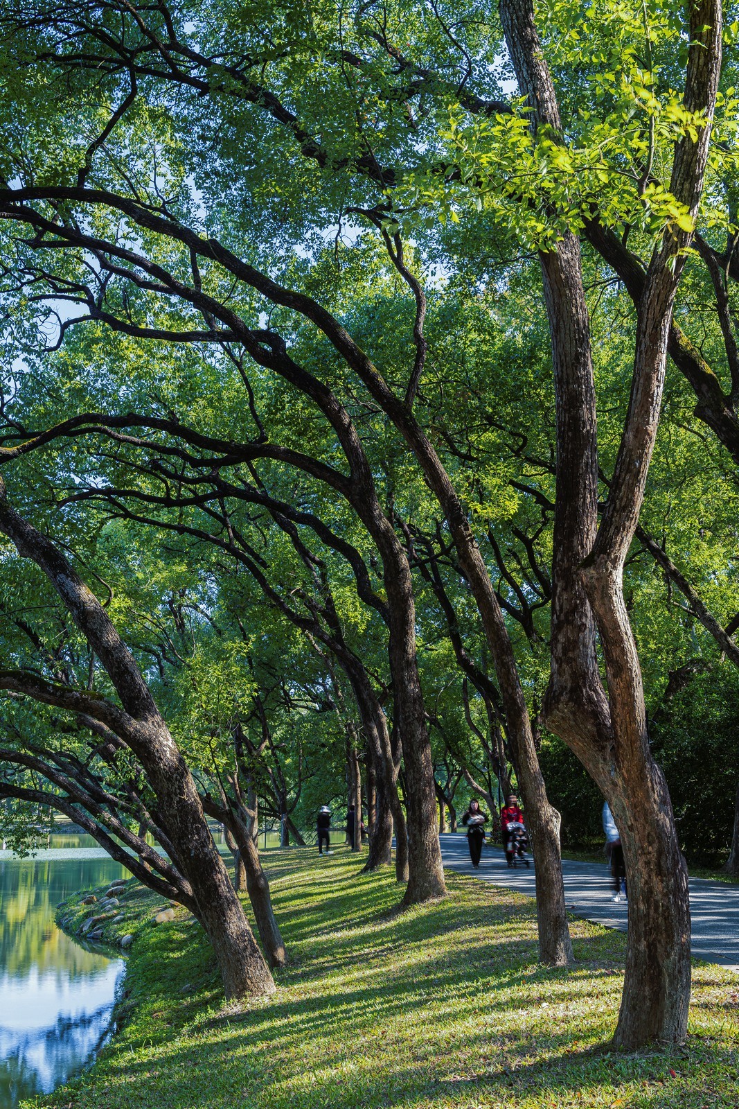 初试新机，浅斟低唱。