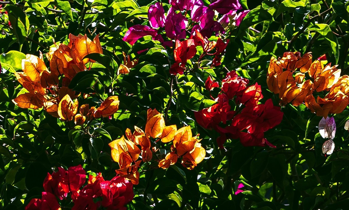 初试新机，浅斟低唱。