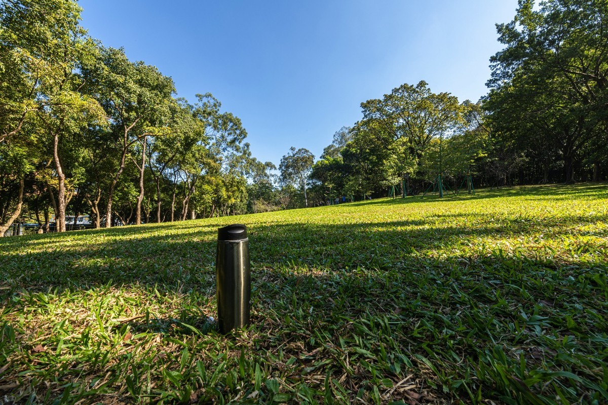 初试新机，浅斟低唱。