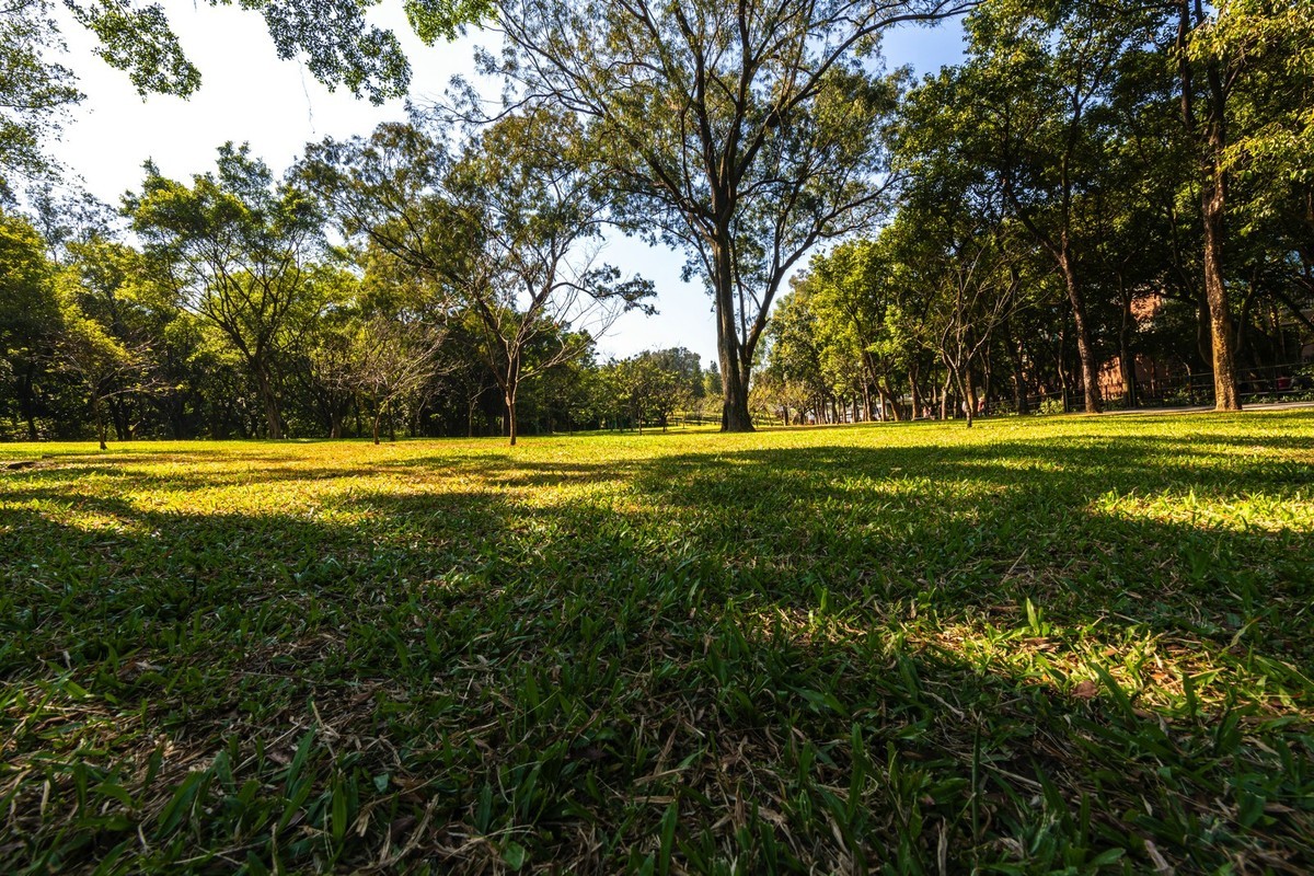 初试新机，浅斟低唱。