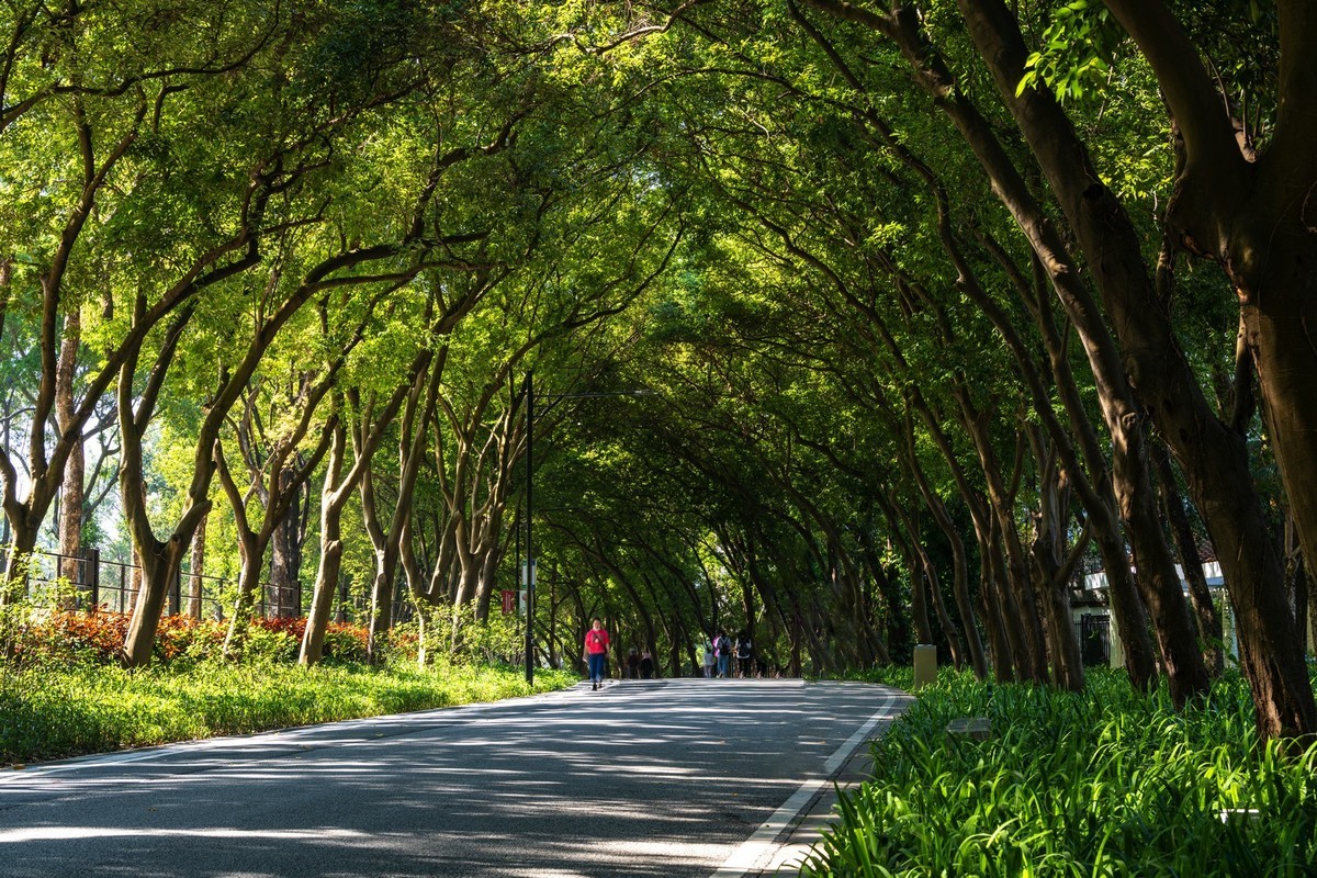 初试新机，浅斟低唱。