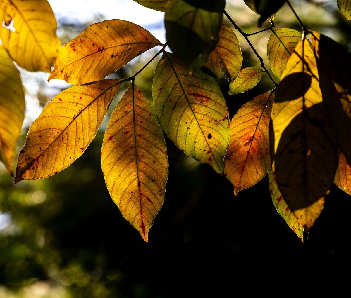初试新机，浅斟低唱。
