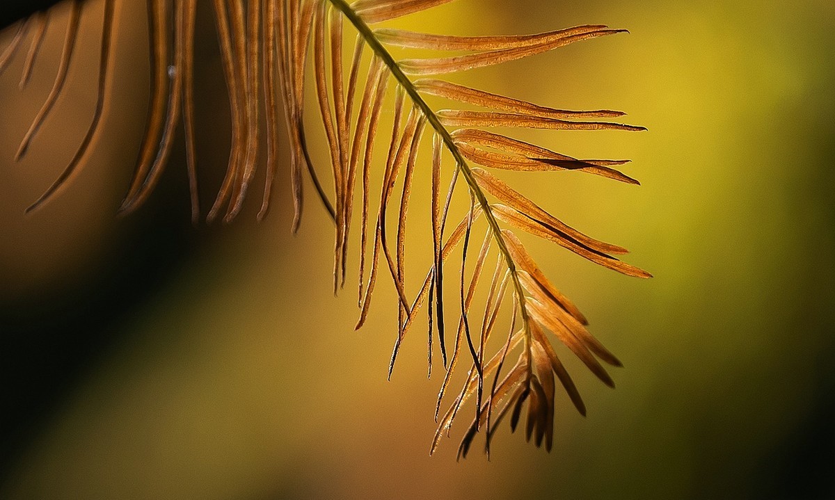 初试新机，浅斟低唱。