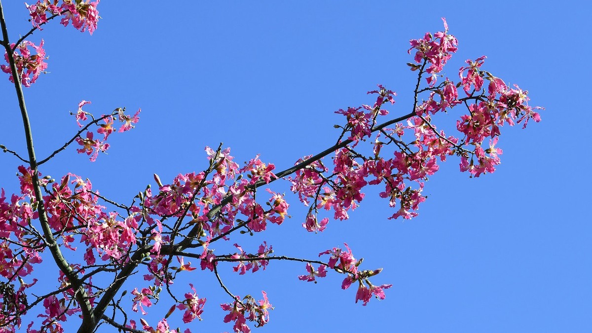 初试新机，浅斟低唱。
