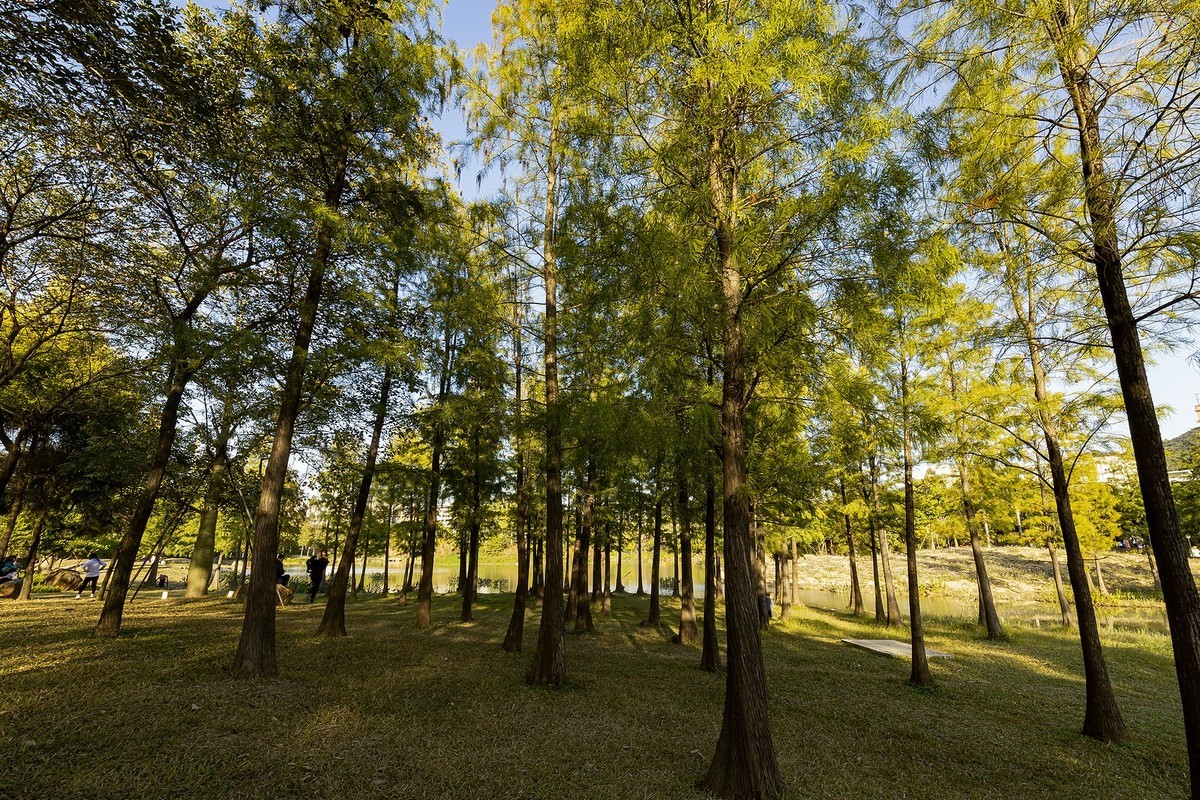 初试新机，浅斟低唱。