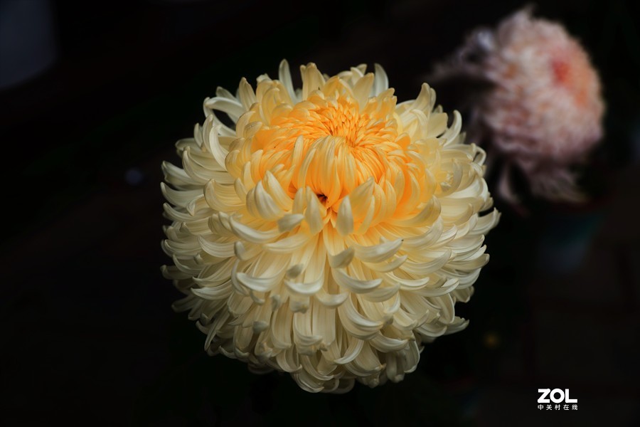 祝贺目的不一老师荣胜合肥版主