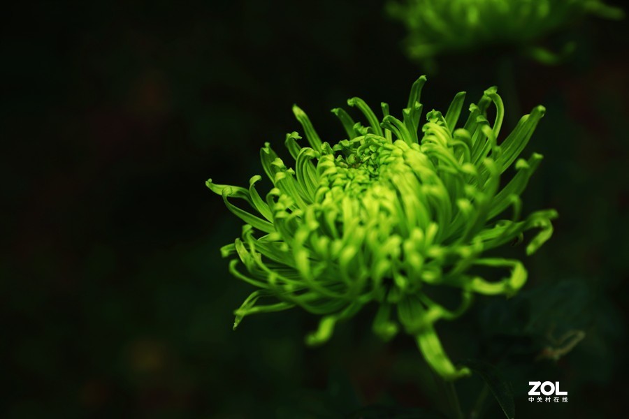 祝贺目的不一老师荣胜合肥版主