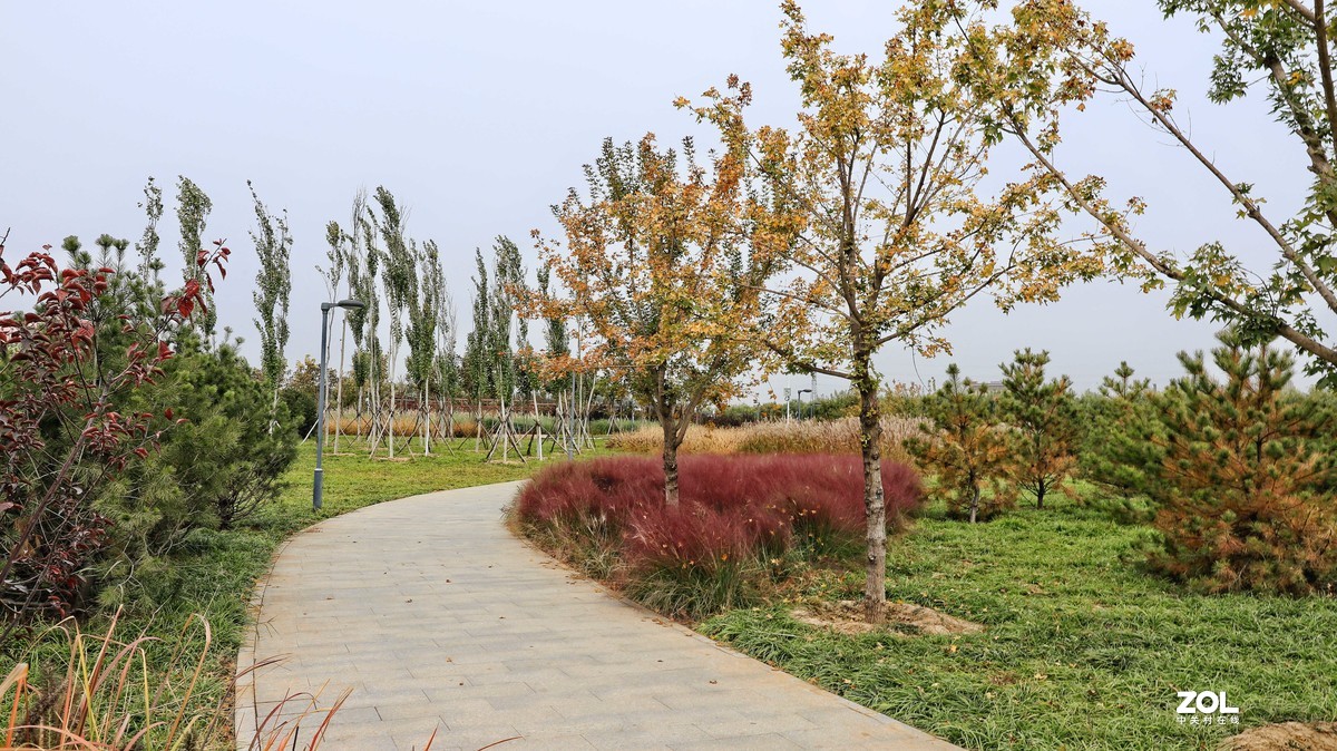 湿地公园及三环路边（环城水系中山路口）