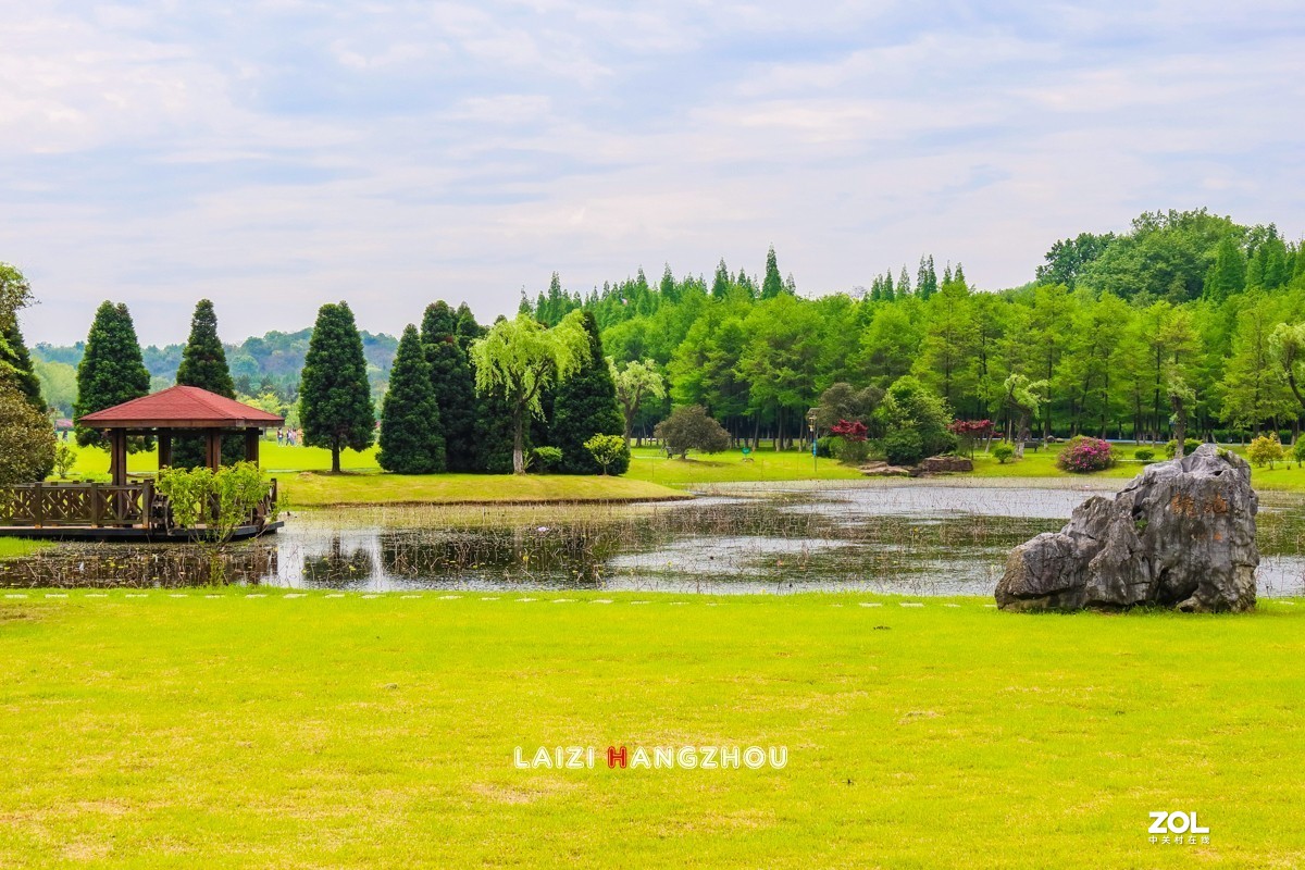 宜興龍背山森林公園2