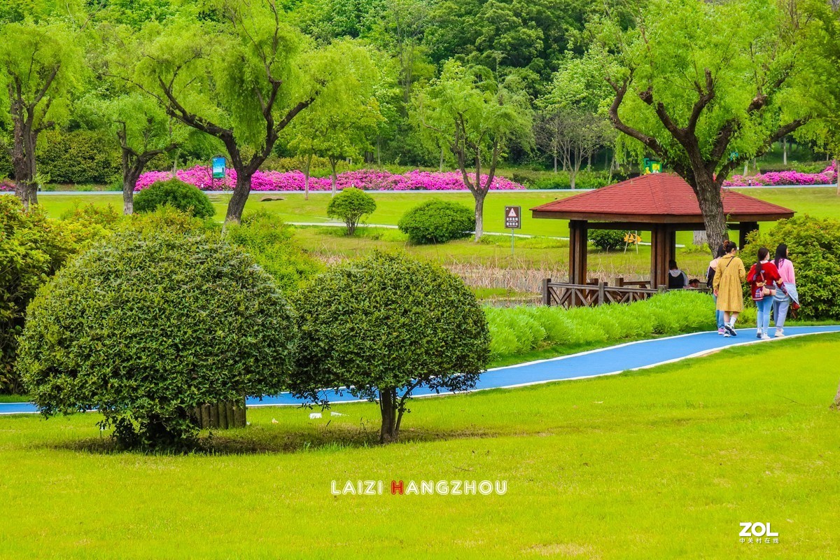 宜興龍背山森林公園2