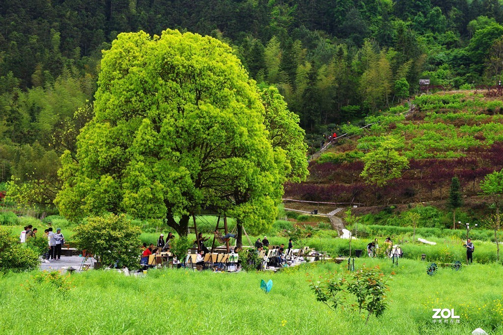 烟花三月下江南---安徽--黟县--西递【2】