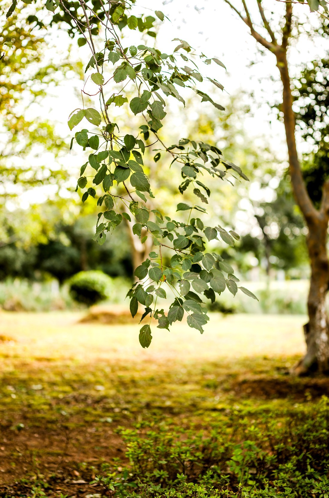 南昌市.八大山人景区