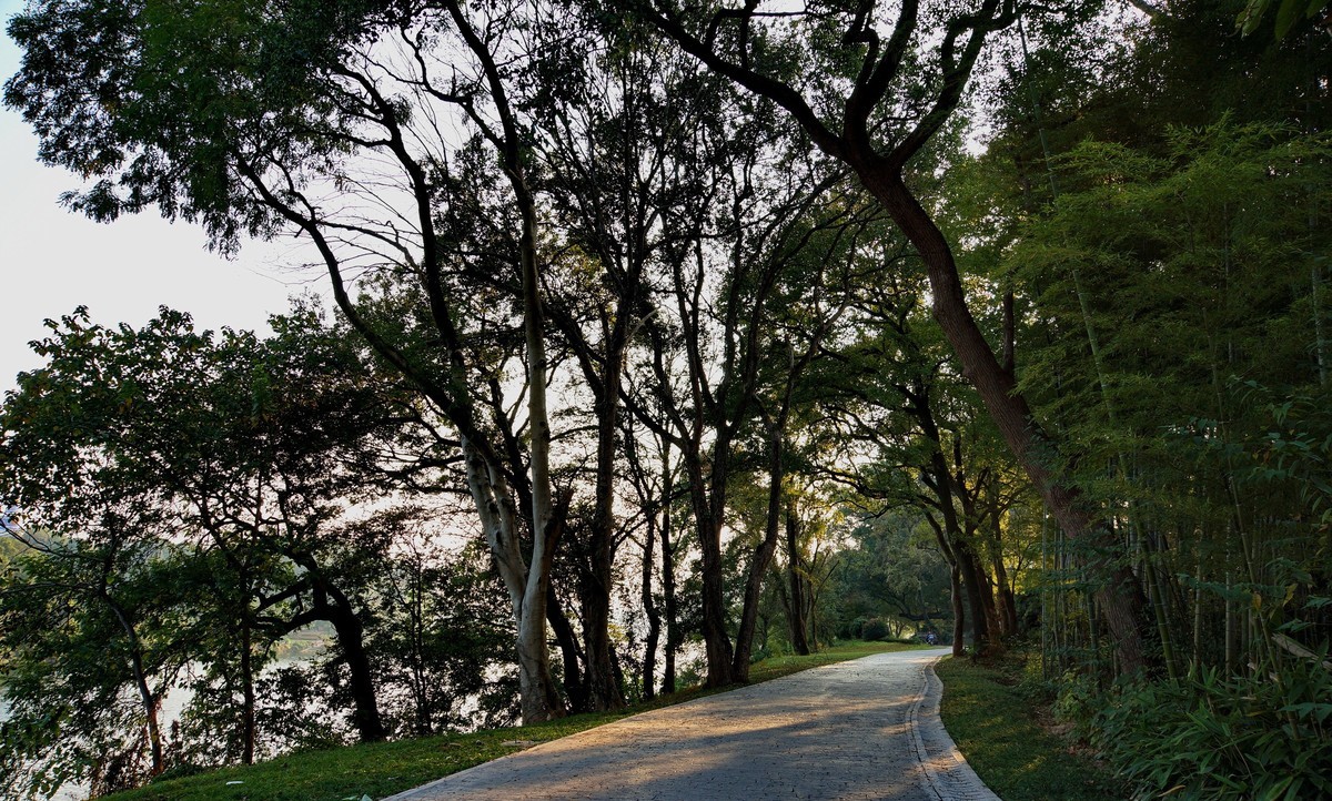 景德镇市郊…旸府滩公园随拍