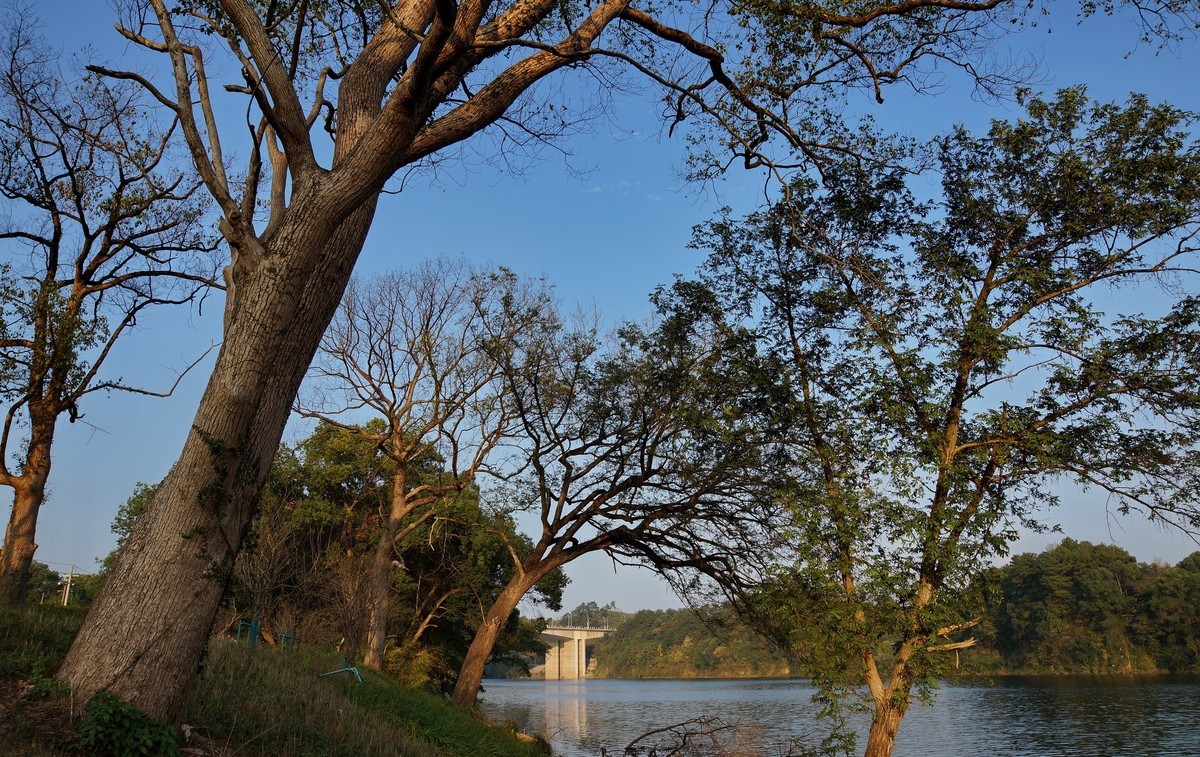 景德镇市郊…旸府滩公园随拍