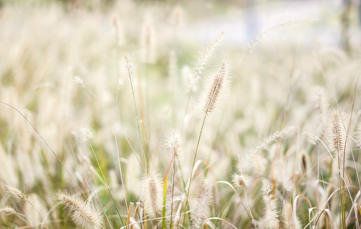 南昌市.八大山人景区