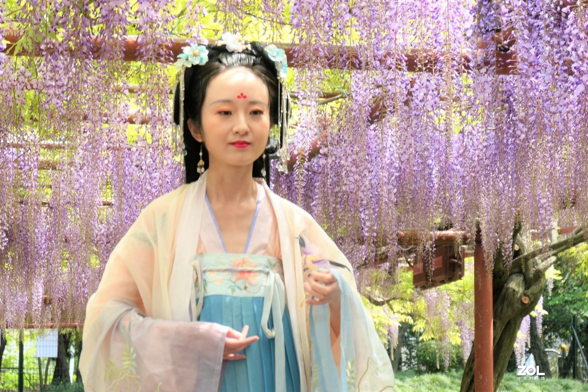 【紫藤少女{2}】——摄于上海嘉定紫藤园