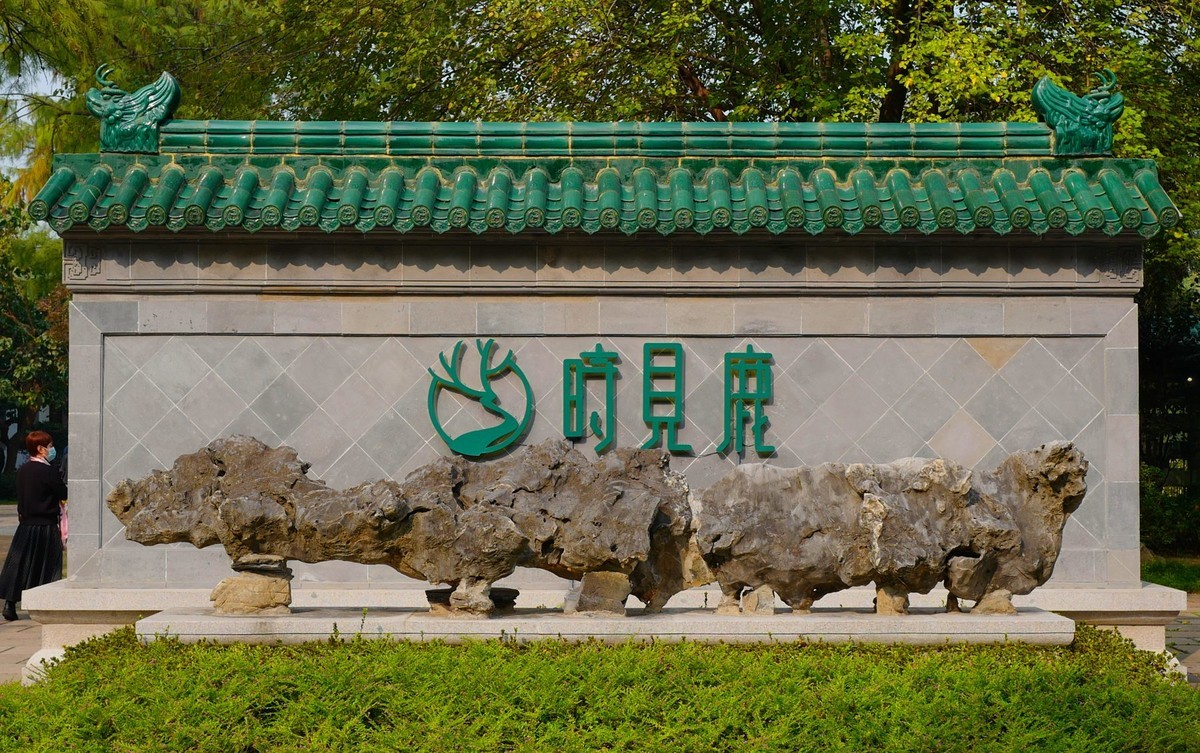 解放公园时见鹿【兼回答好友问题】