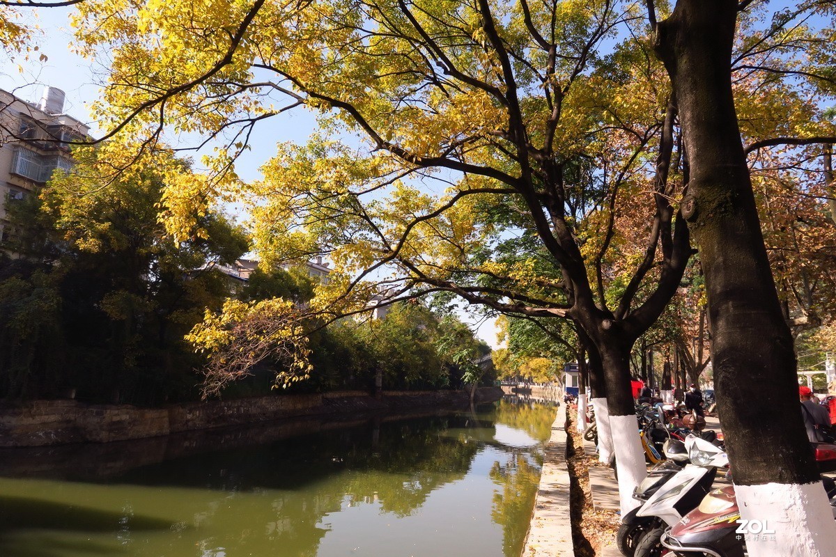 秋天的大观河风光—2