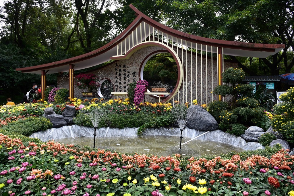 成都人民公園菊展百年菊韻漫蓉城