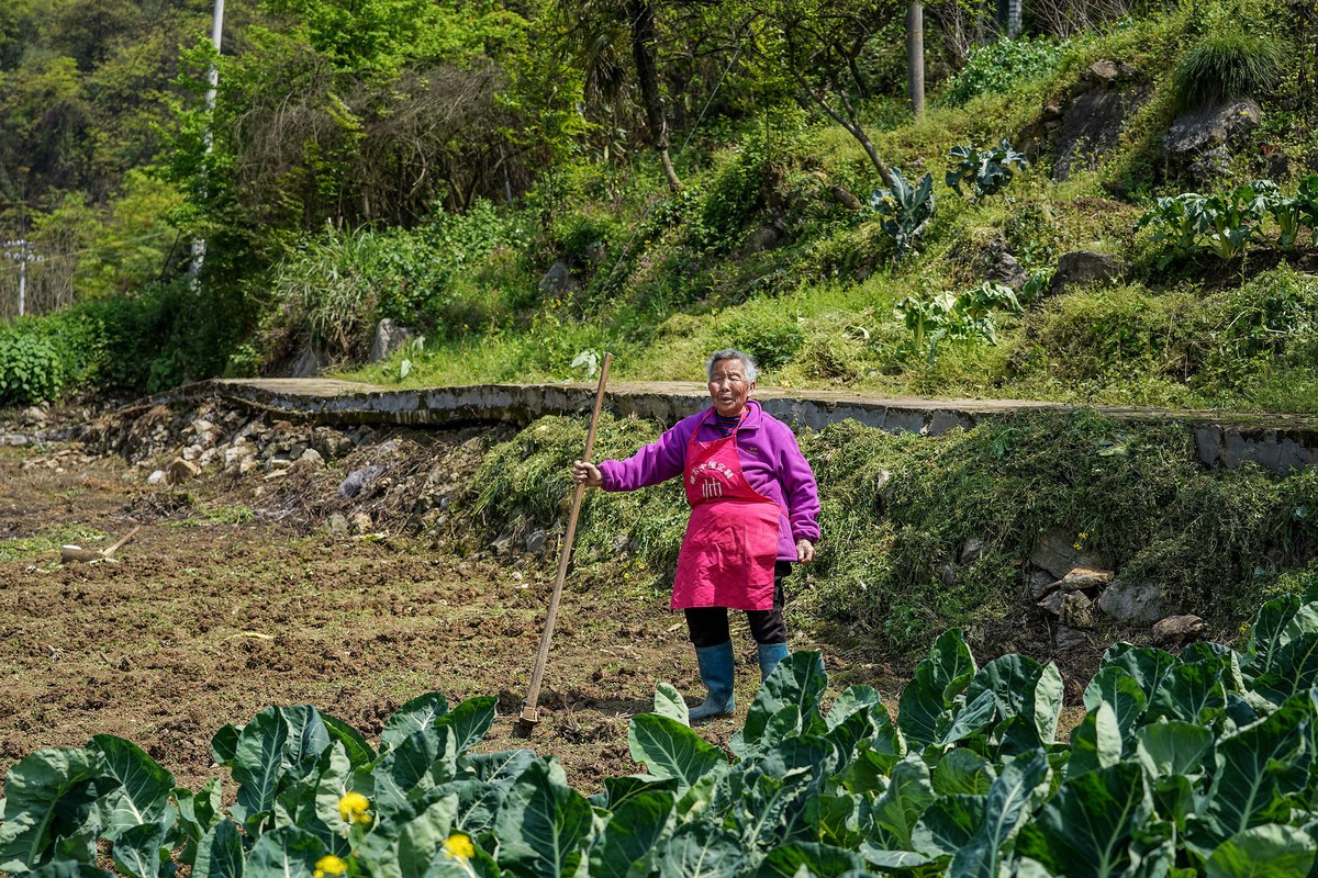 闲不住的老人