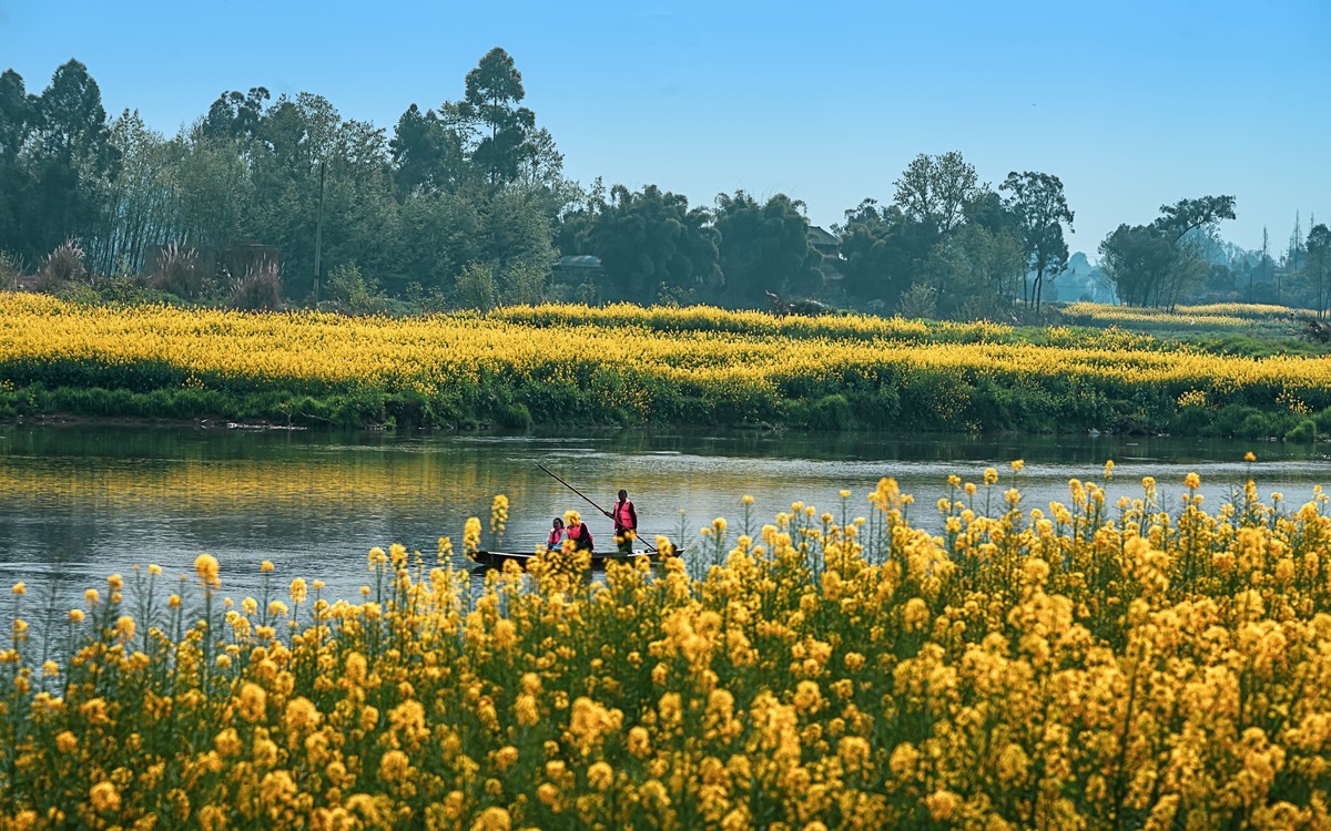 油菜花香飘二河，风光天成小江南（之五）