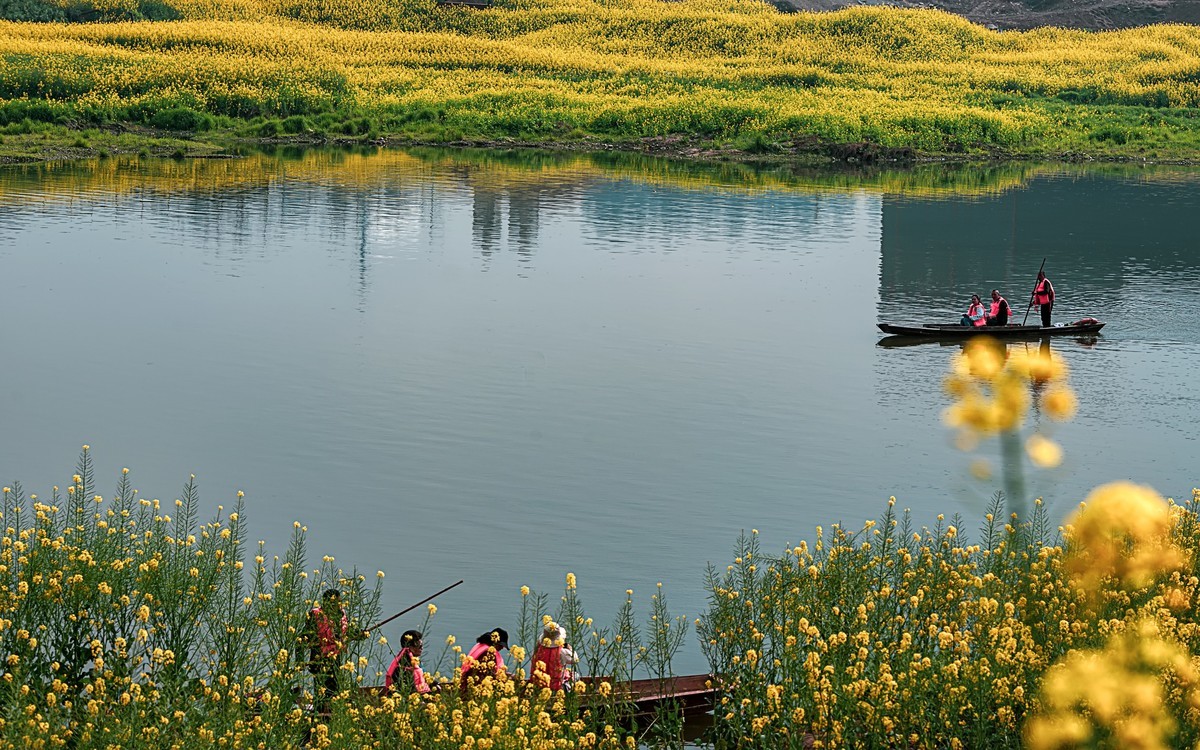 油菜花香飘二河，风光天成小江南（之五）
