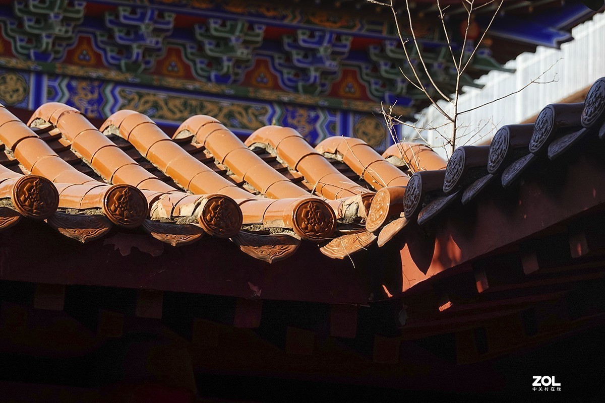 合肥最大的佛教寺庙-----开福寺（2）