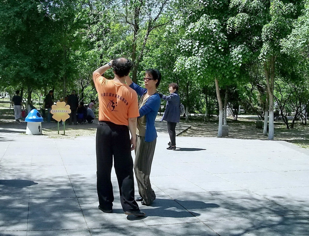 柯达 C875 摄 . 绿荫起舞