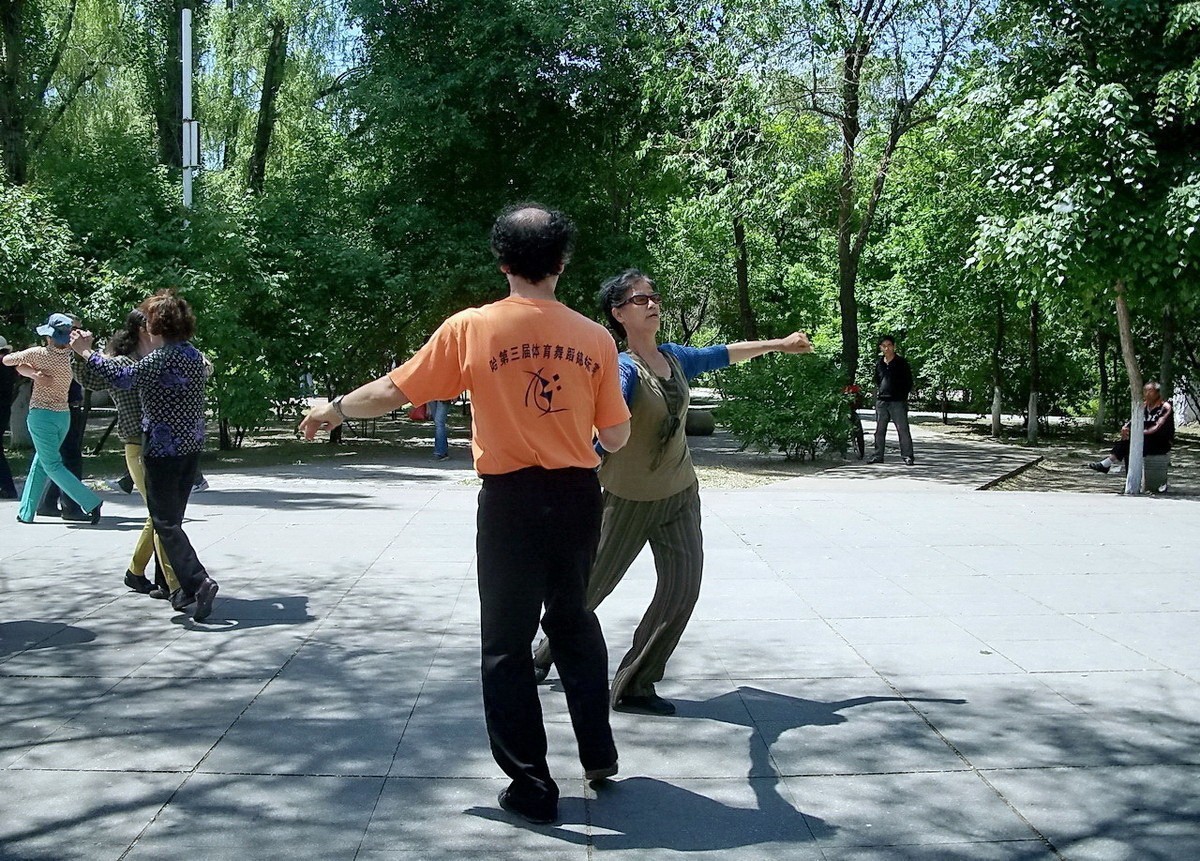 柯达 C875 摄 . 绿荫起舞