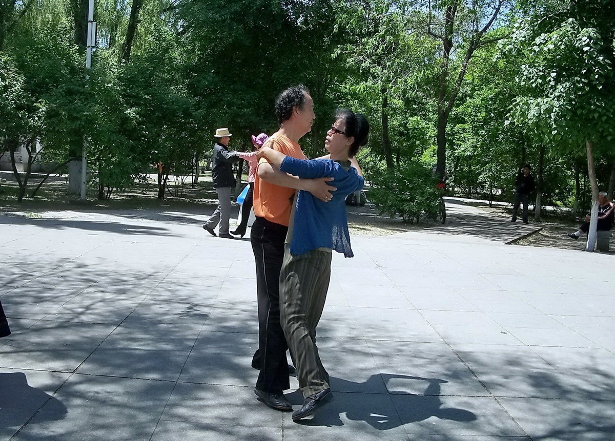 柯达 C875 摄 . 绿荫起舞