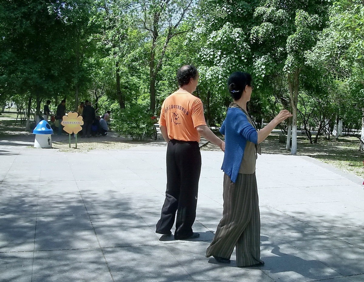 柯达 C875 摄 . 绿荫起舞