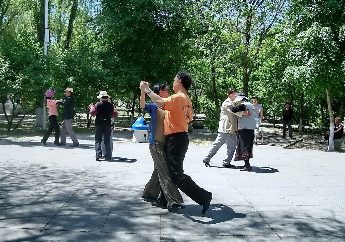 柯达 C875 摄 . 绿荫起舞