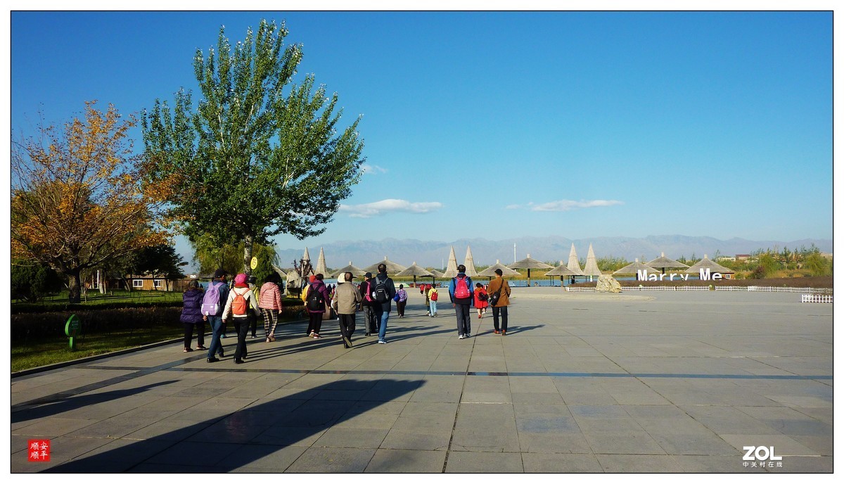 旅游随拍-----宁夏银川枸杞园