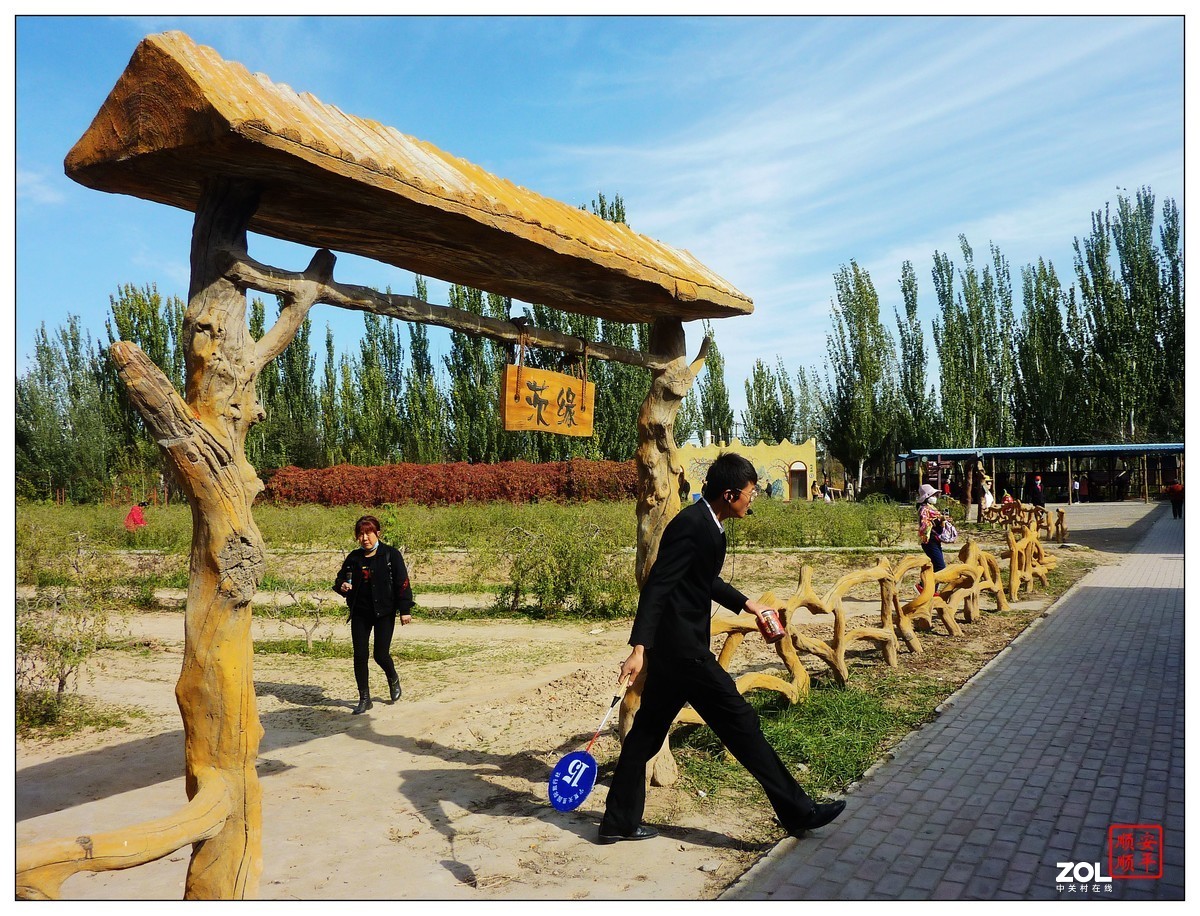 旅游随拍-----宁夏银川枸杞园