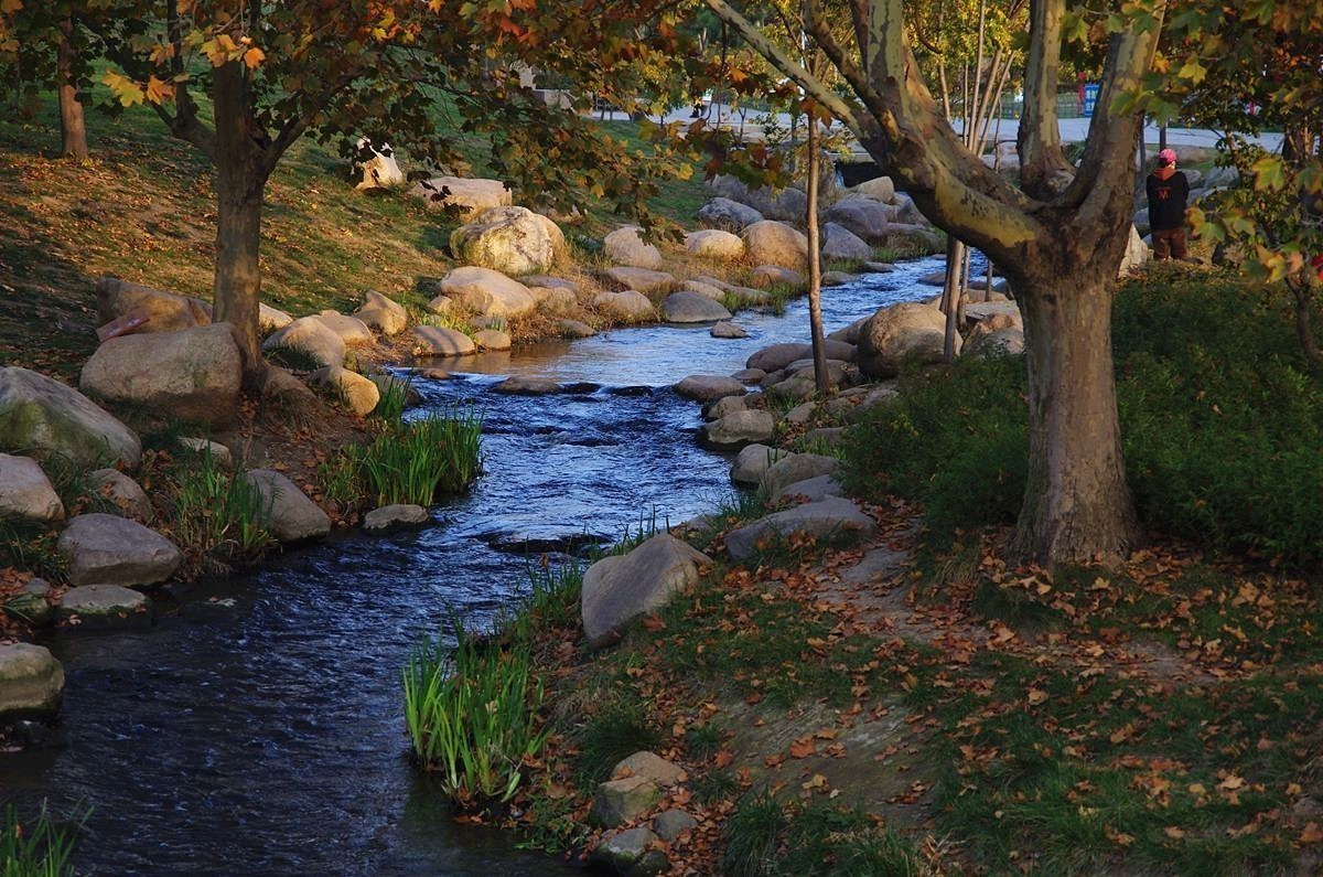 #版主坐堂#小五星空(中国)2021年11月精品荟萃