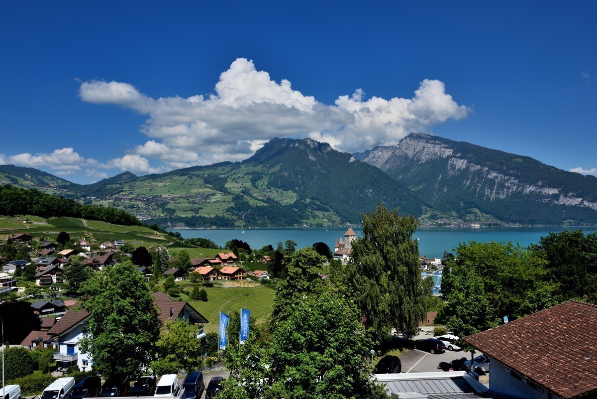 #版主坐堂#小五星空(中国)2021年11月精品荟萃