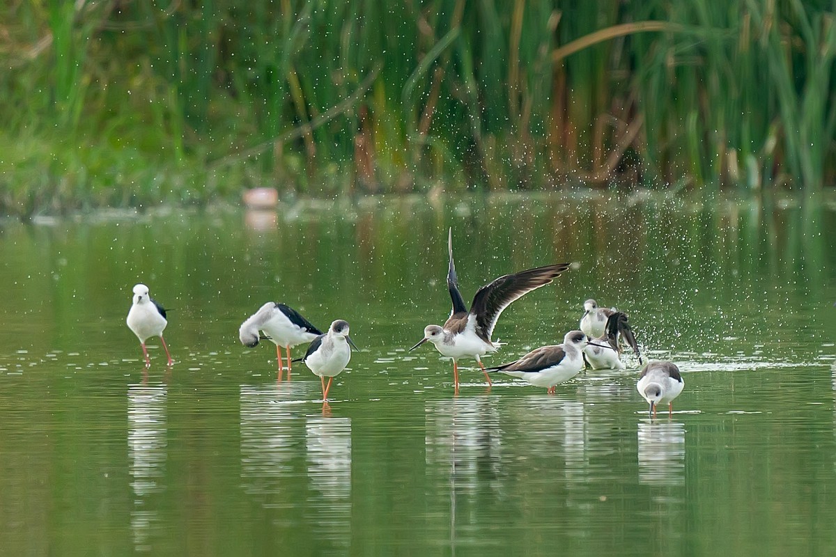 #版主坐堂#小五星空(中国)2021年11月精品荟萃