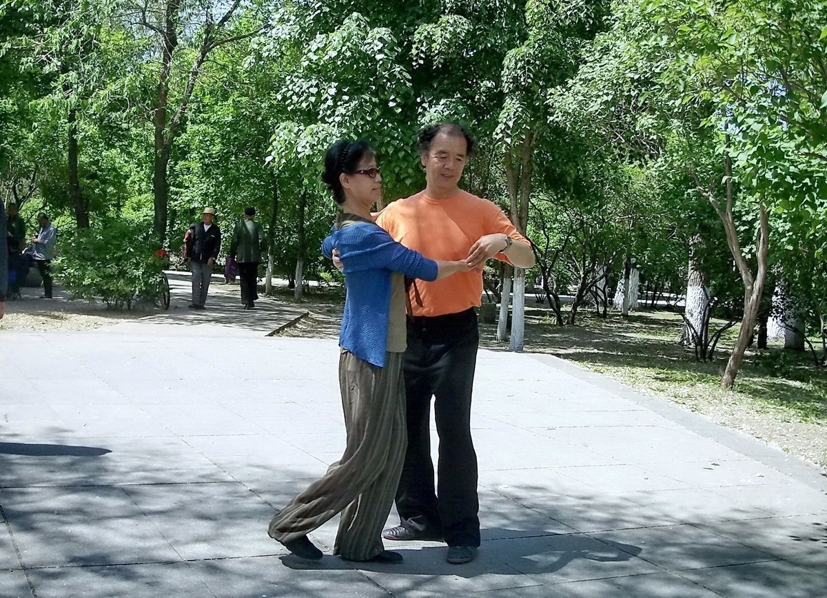 柯达 C875 摄 . 绿荫起舞