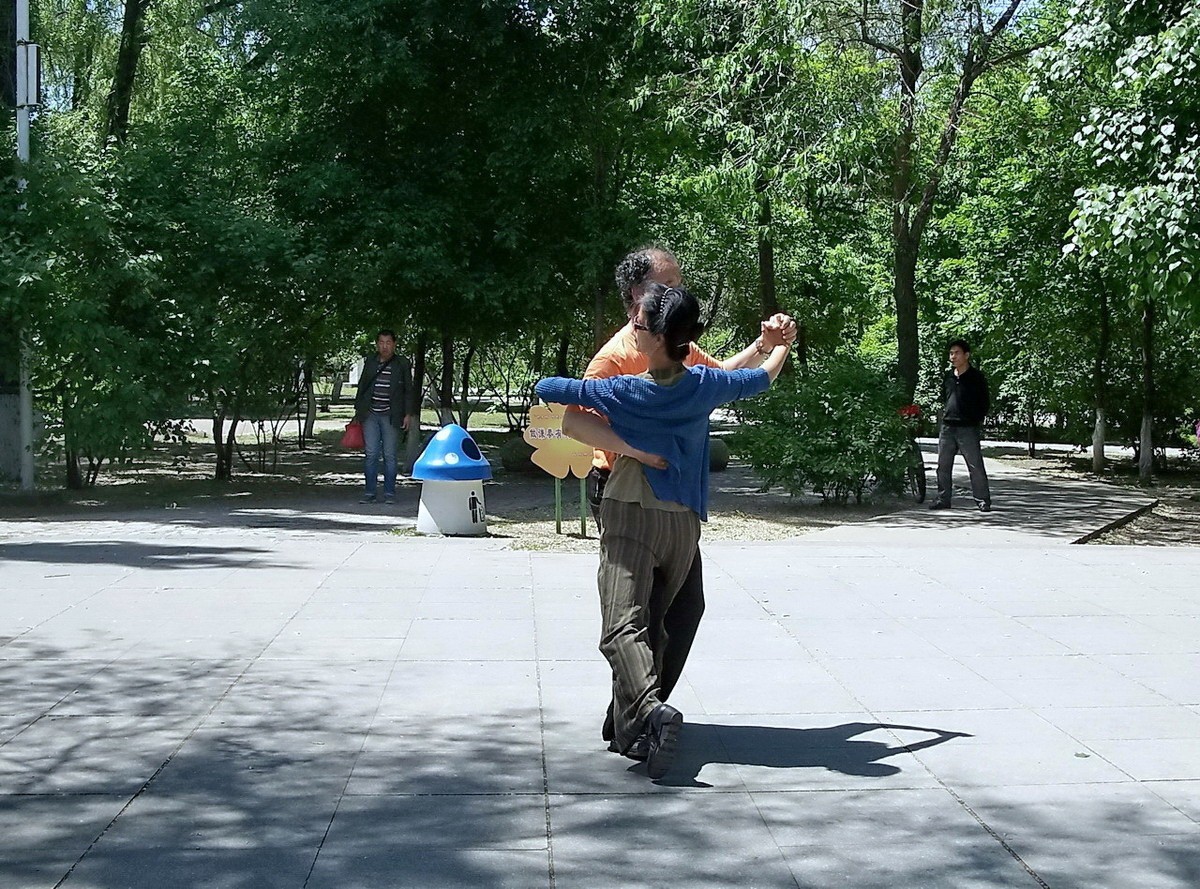 柯达 C875 摄 . 绿荫起舞