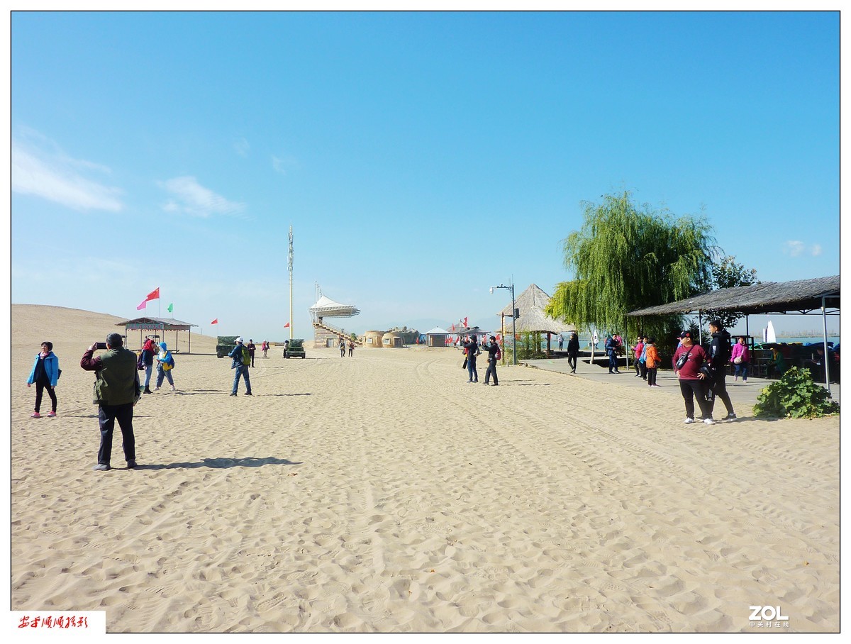 旅游随拍-----宁夏银川枸杞园