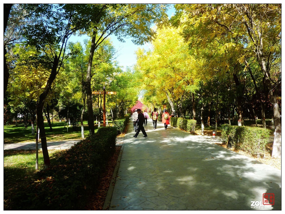 旅游随拍-----宁夏银川枸杞园