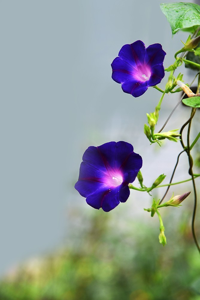 #版主坐堂#小五星空(中国)2021年11月精品荟萃