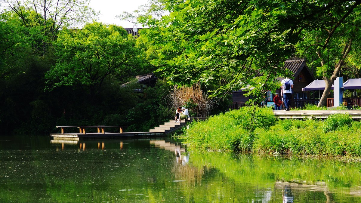 西溪湿地公园【4】