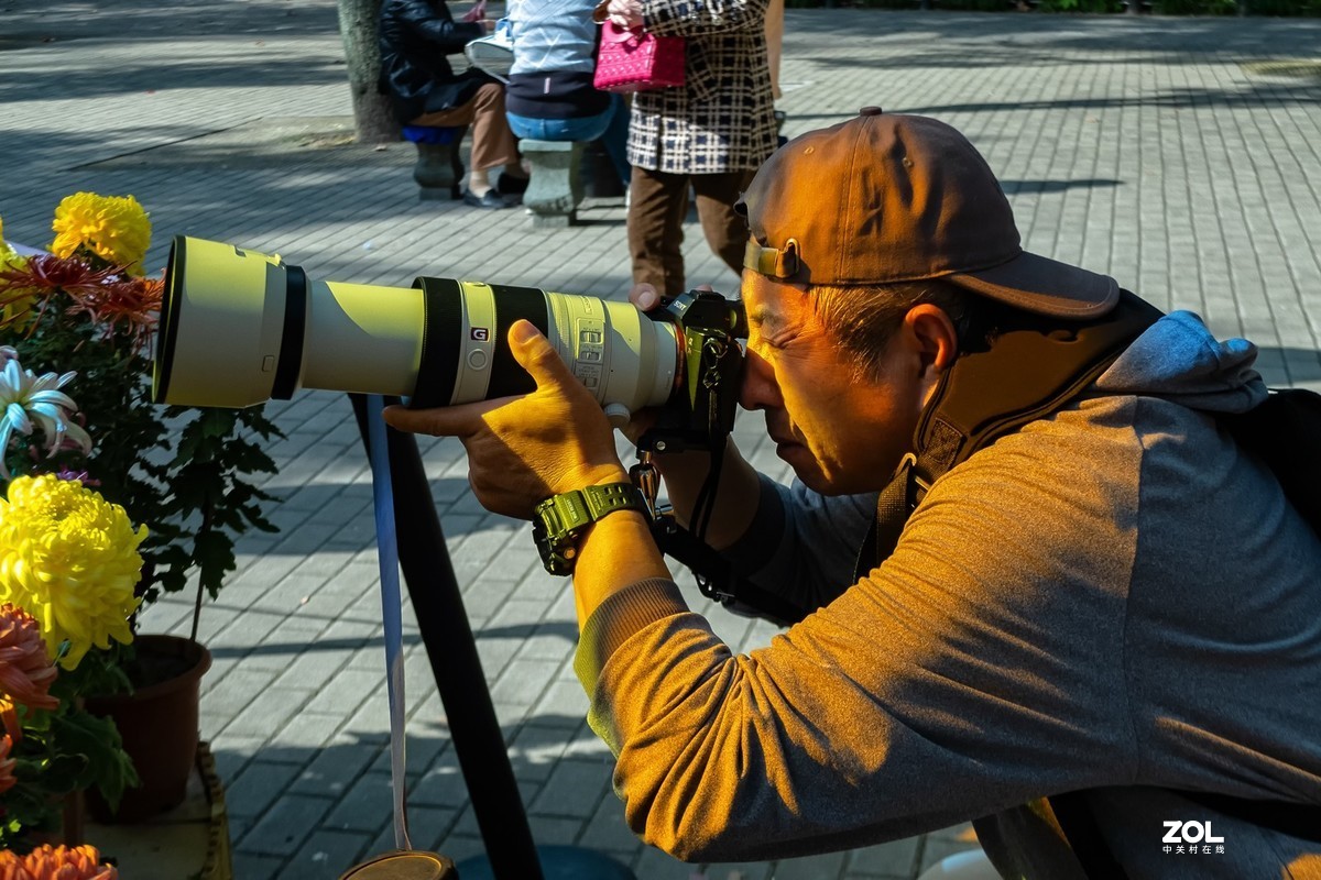 菊花展人物随怕