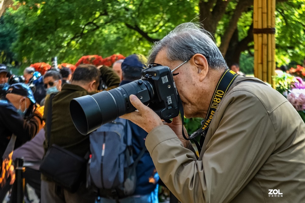 菊花展人物随怕