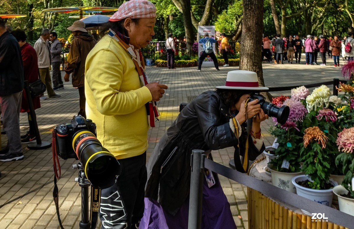 菊花展人物随怕