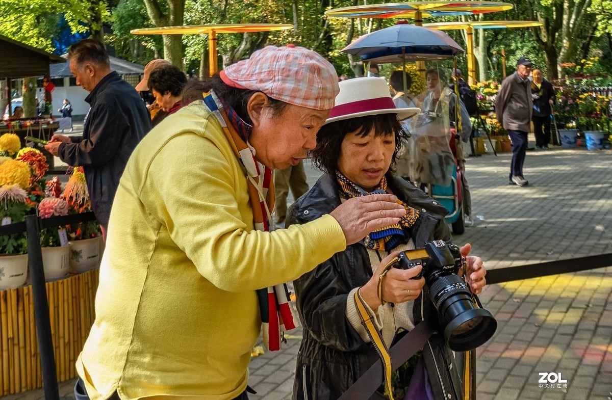 菊花展人物随怕