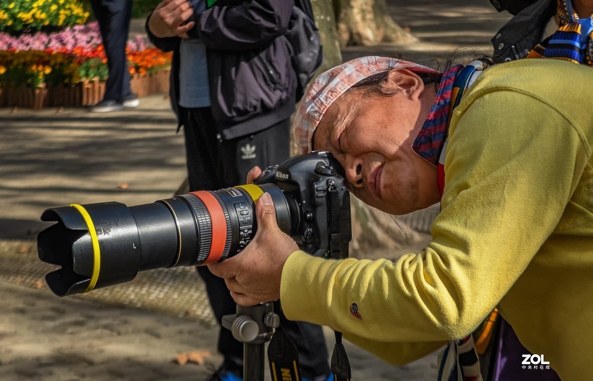 菊花展人物随怕